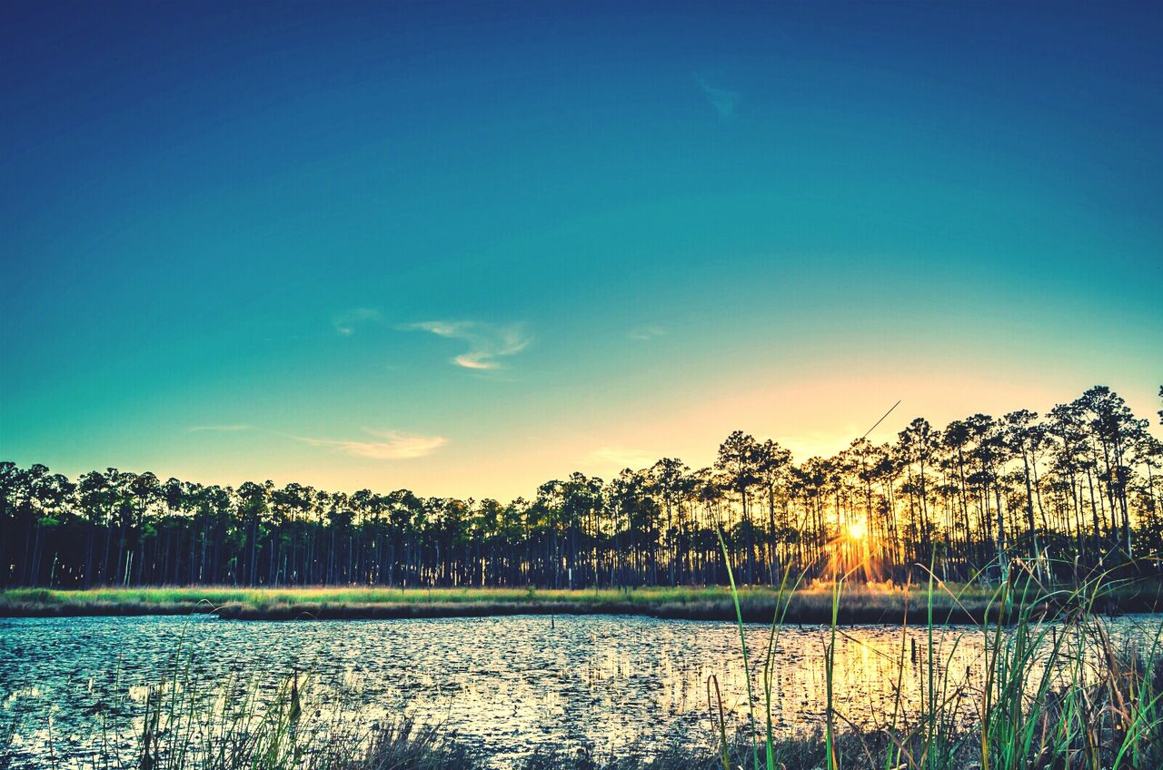 Sun setting over marsh