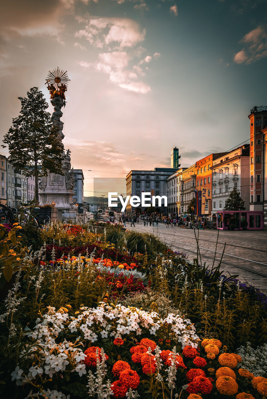 Sunset at the hauptplatz. city flowerscape and buildings in city against sky during sunset.