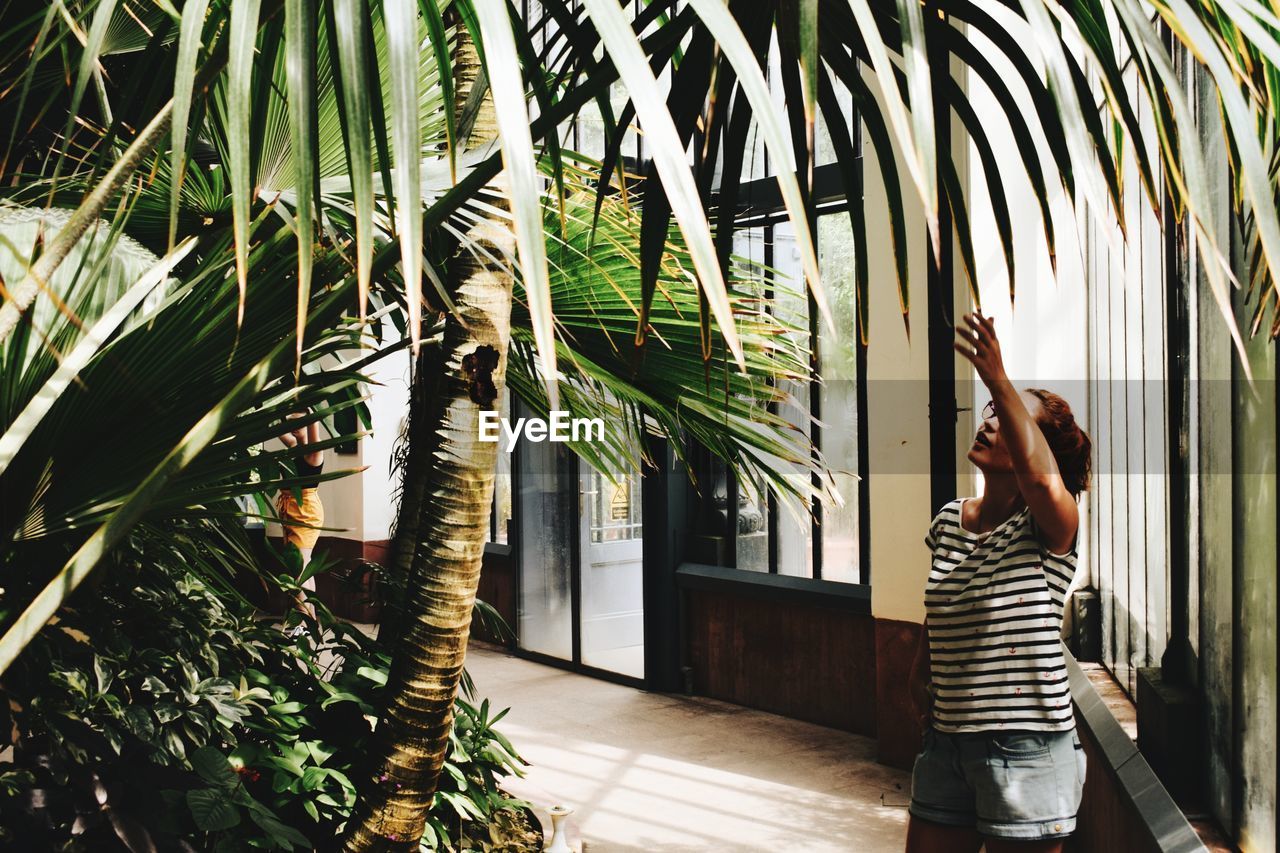 Woman reaching leaf of palm trees