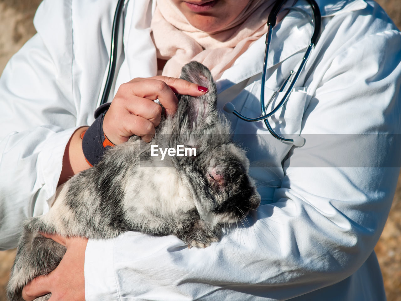 Midsection of veterinarian examining rabbit while standing outdoors