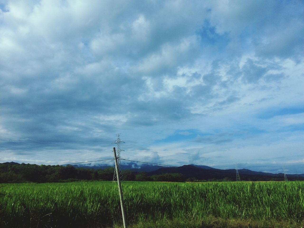 VIEW OF FIELD AGAINST CLOUDY SKY