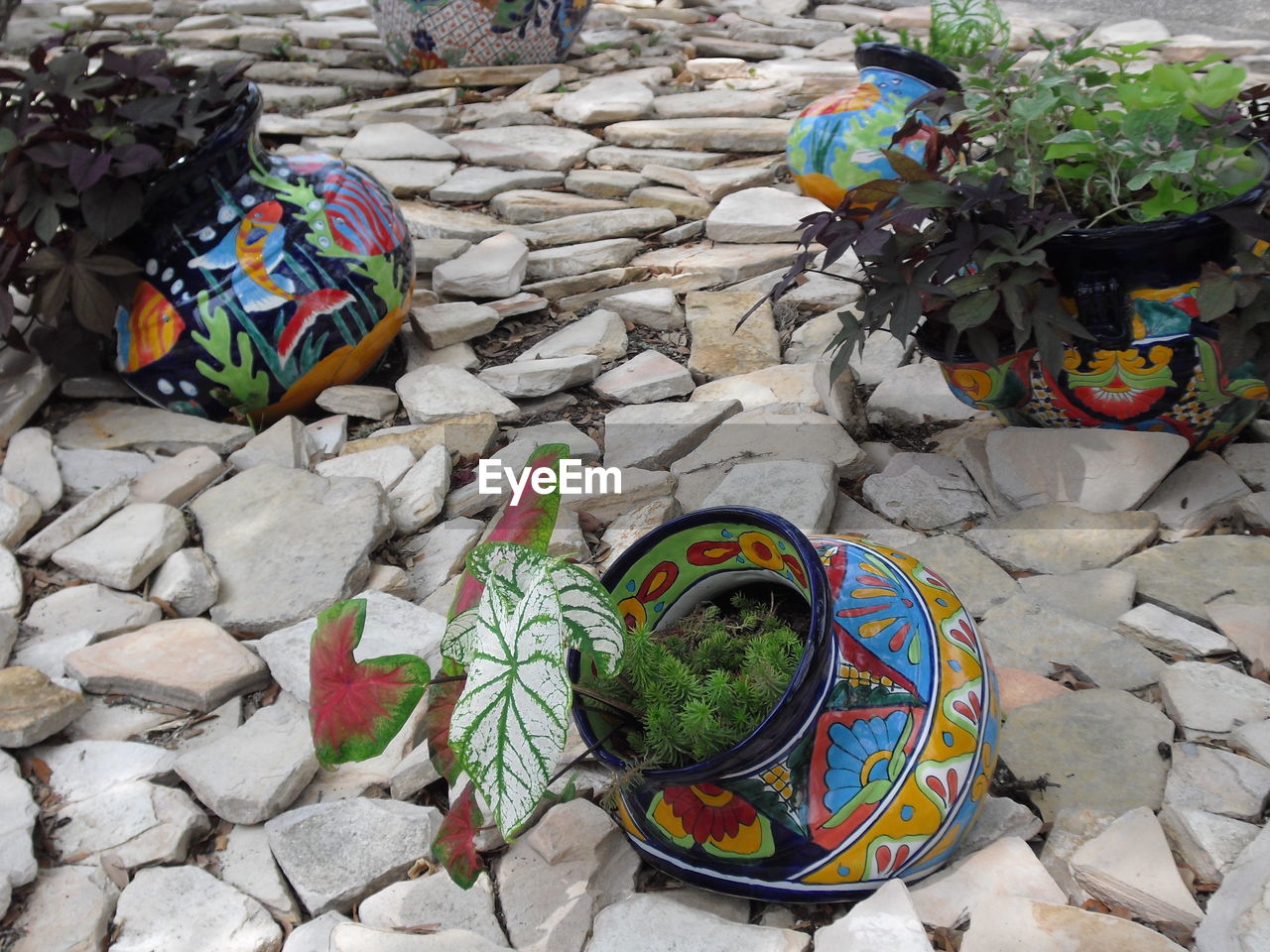 High angle view of potted plants amidst stones at yard