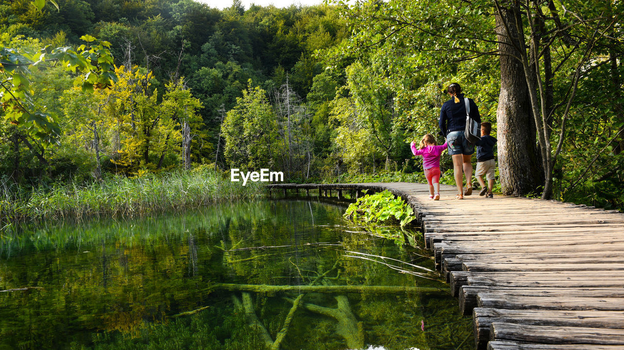 Rear view of woman walking with children on wooden footbridge over lake in forest