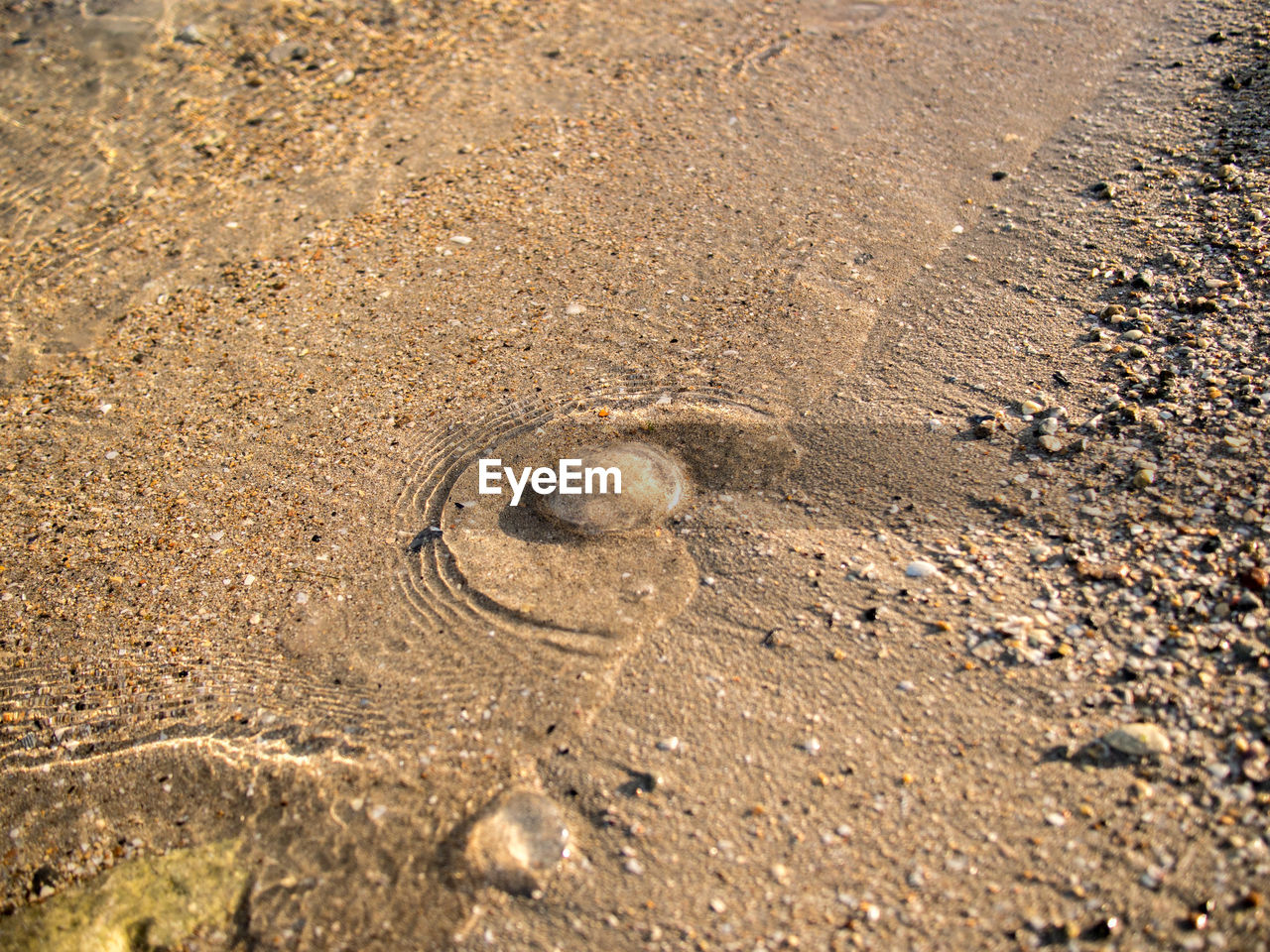 Close-up of sand at beach