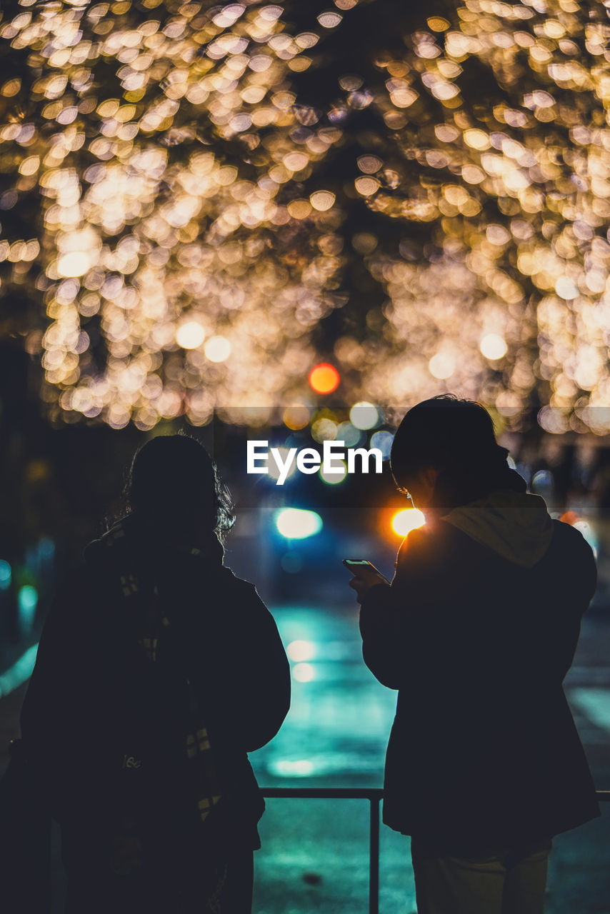 REAR VIEW OF FRIENDS STANDING AGAINST ILLUMINATED TREE