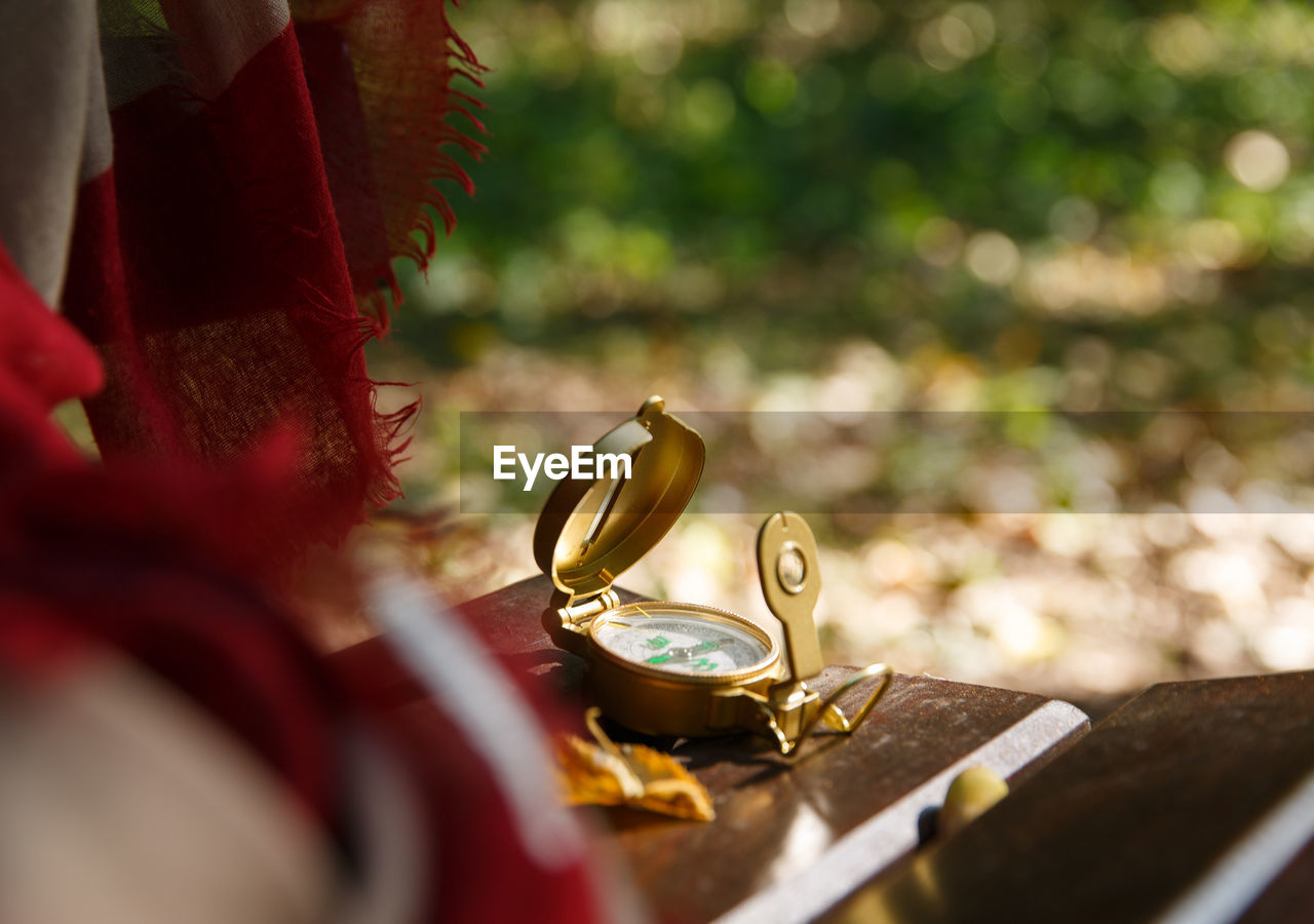 high angle view of woman holding plant