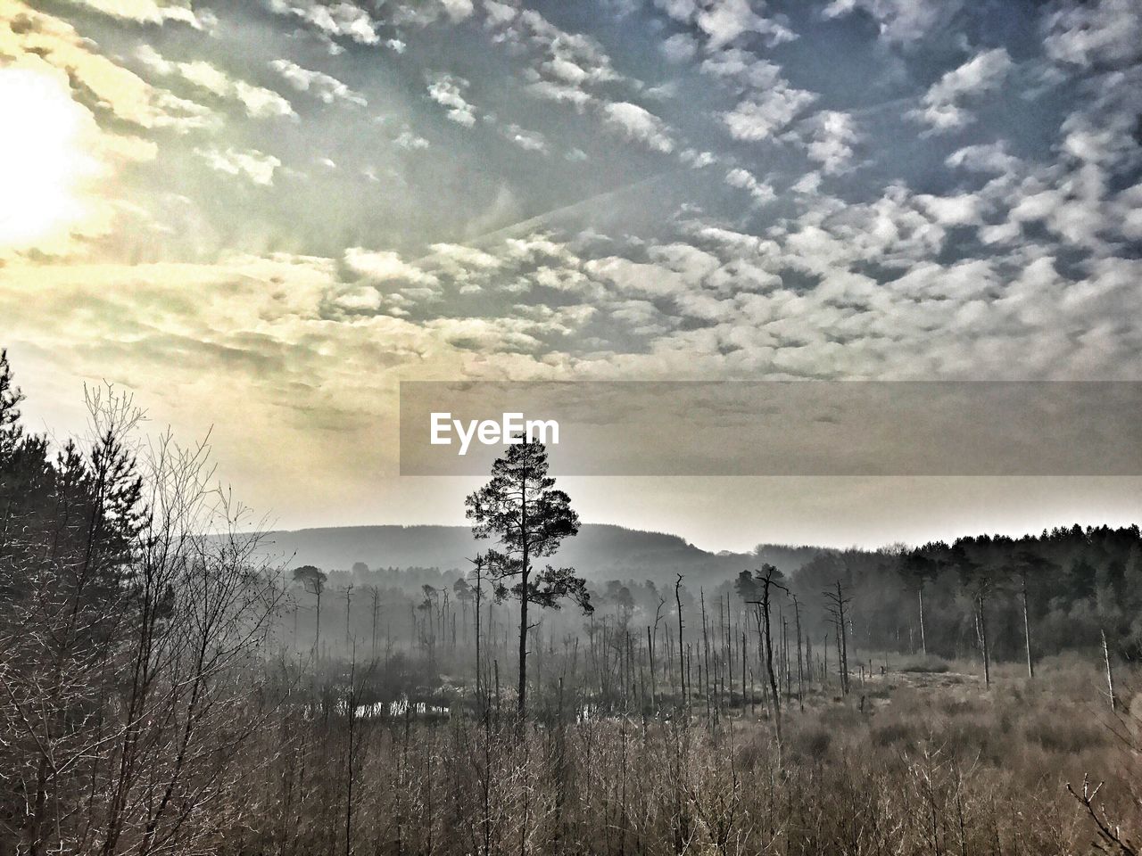 LANDSCAPE AGAINST SKY DURING SUNSET