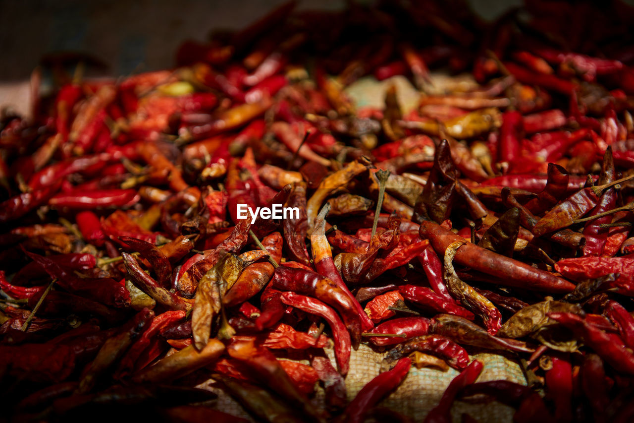 Dried red hot chili pepper