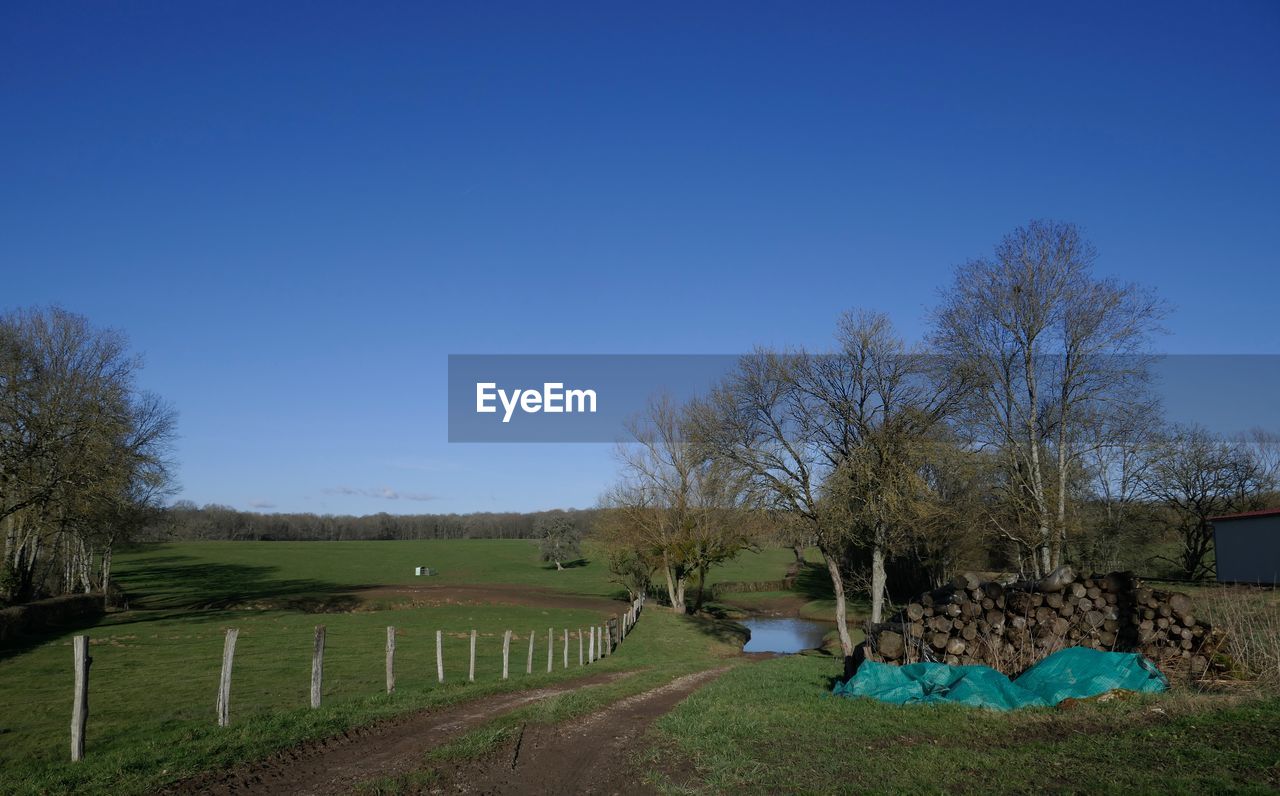 PANORAMIC VIEW OF LANDSCAPE AGAINST CLEAR BLUE SKY