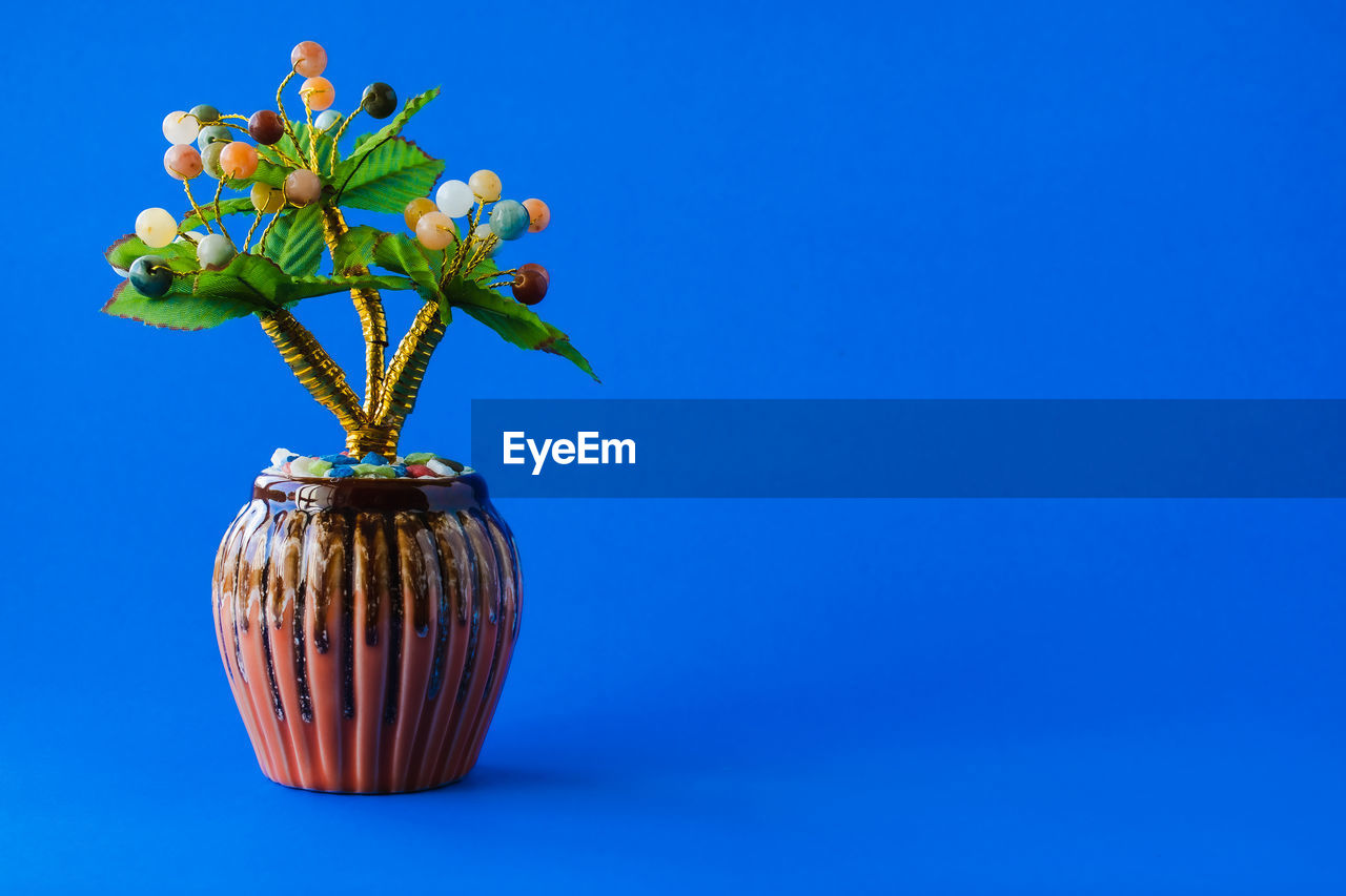 blue, plant, vase, nature, flower, studio shot, flowering plant, blue background, colored background, no people, copy space, indoors, freshness, beauty in nature, flowerpot, growth, decoration, still life, single object, food, fragility, food and drink, close-up