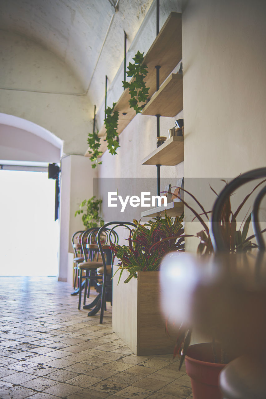 indoors, bicycle, architecture, no people, plant, nature, potted plant, home interior, home, day, interior design, room, house, building, built structure, window, lifestyles