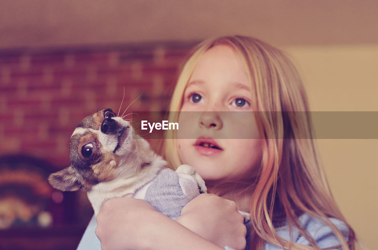 Blond girl holding chihuahua dog yawing at home