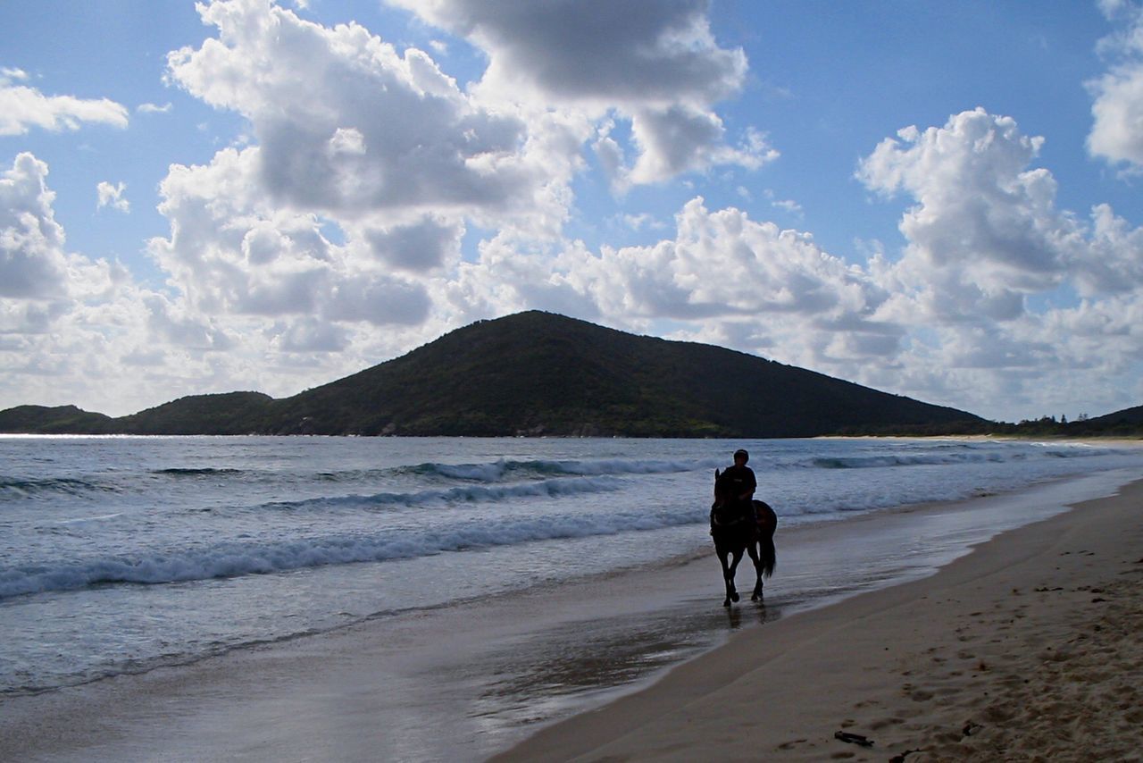 Person riding horse on beach