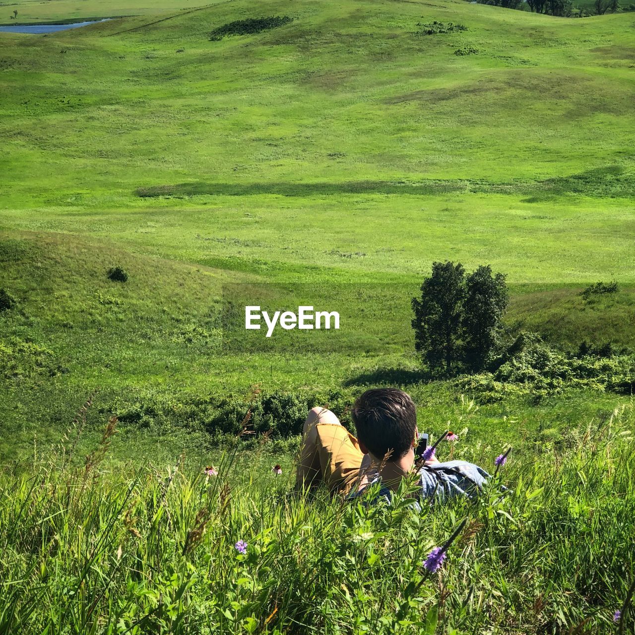 Rear view of teenage boy resting on grassy field