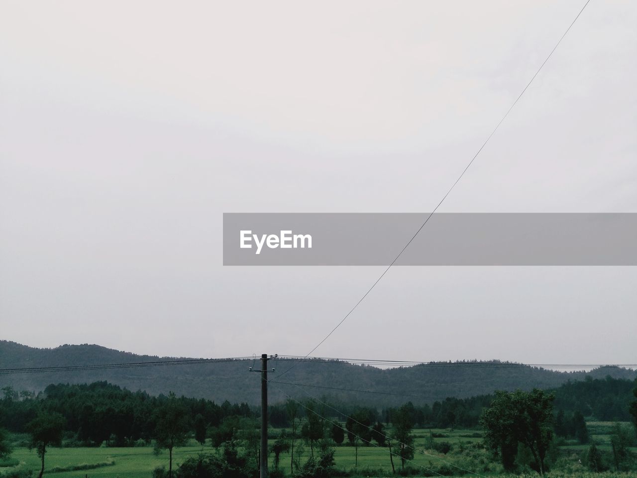 TREES ON LANDSCAPE AGAINST CLEAR SKY