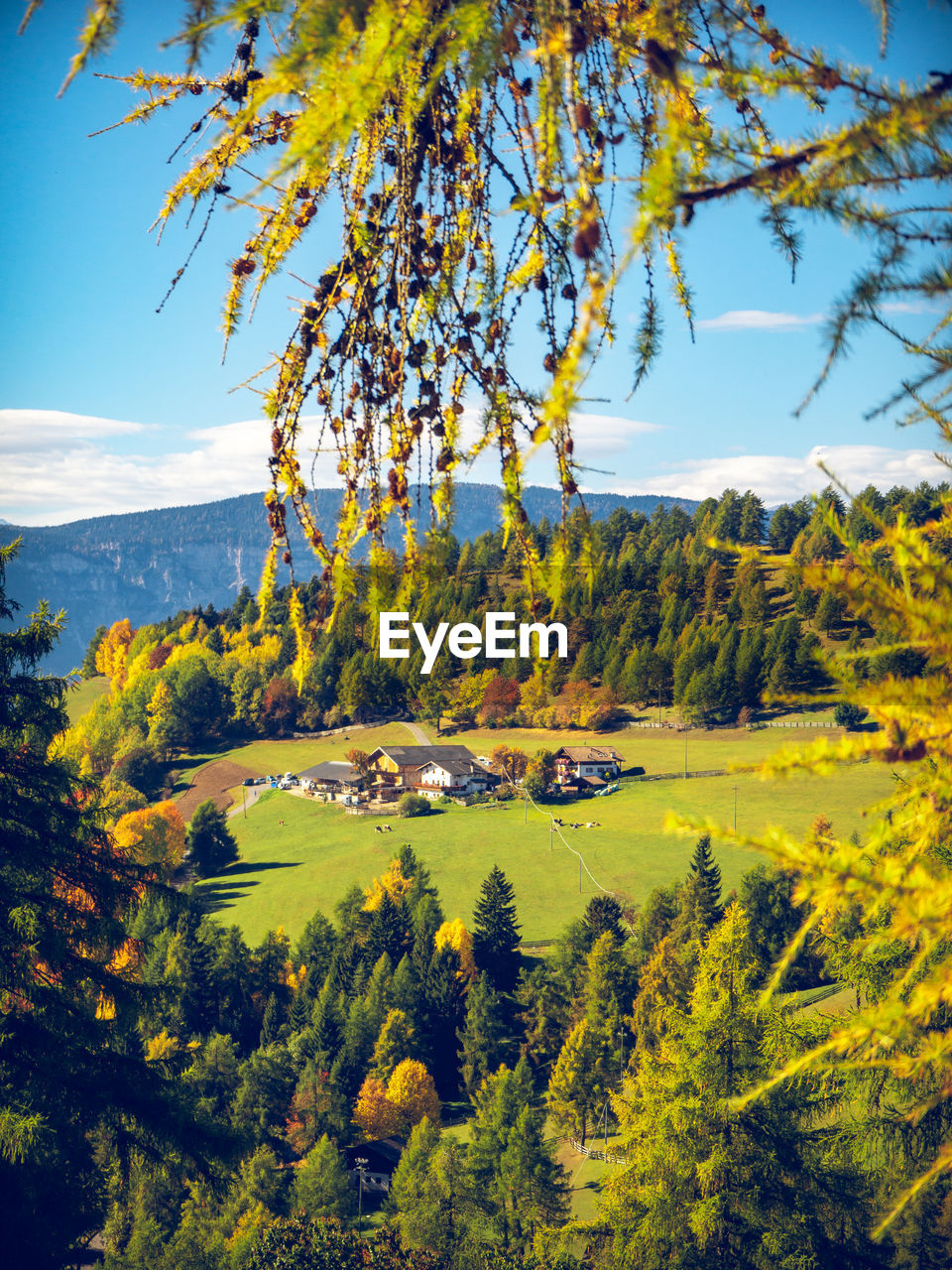 Scenic view of landscape against sky during autumn