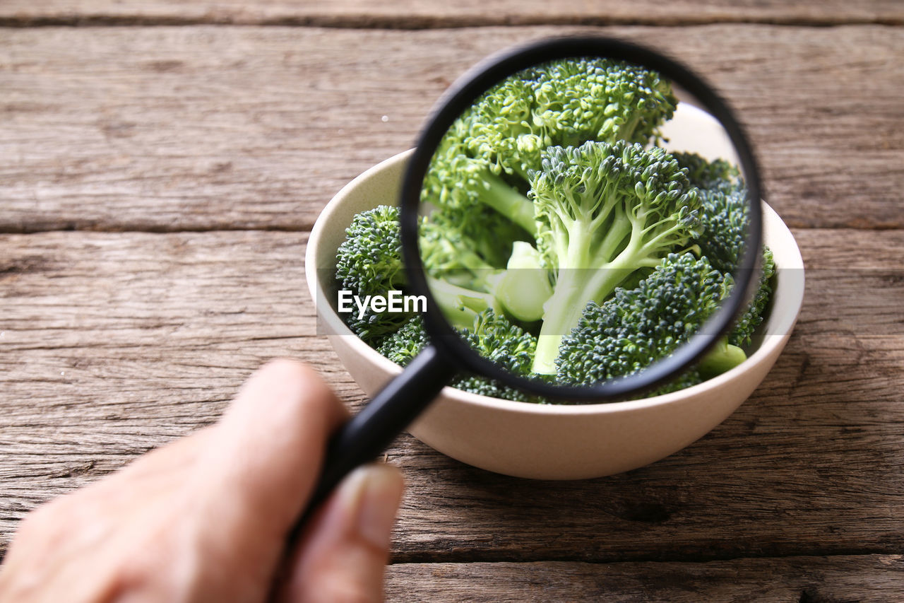 Cropped hand holding magnifying glass over broccoli