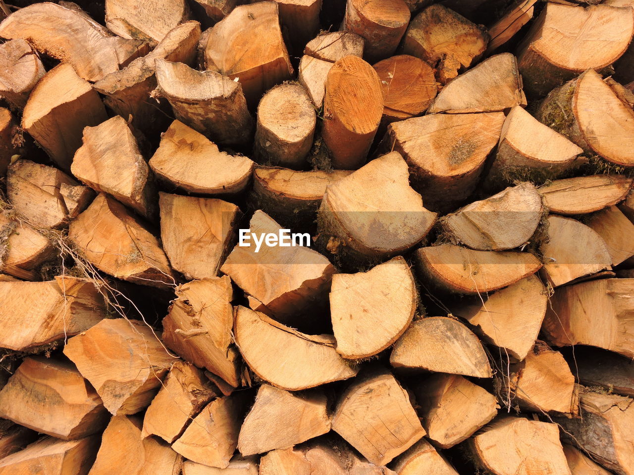 Full frame shot of logs