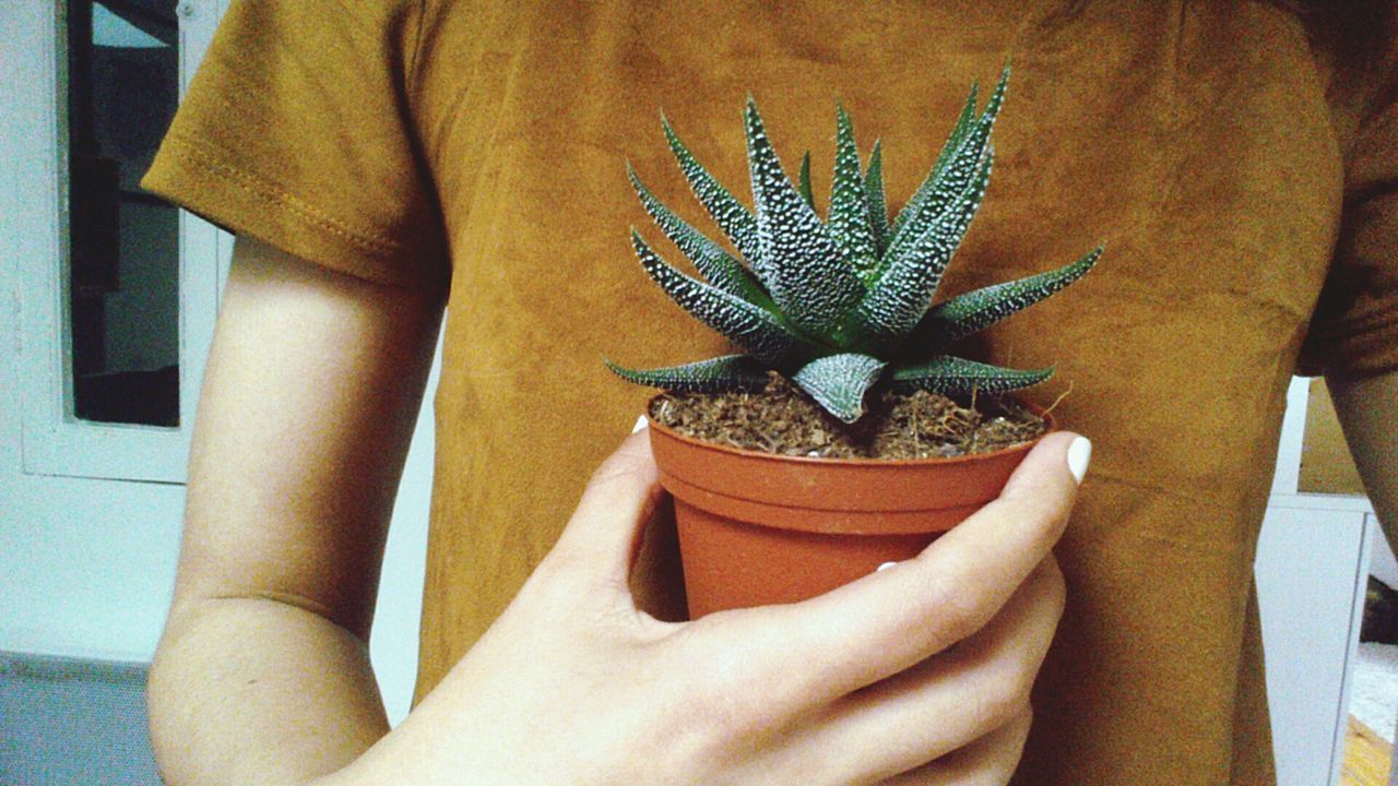 Midsection of woman standing with potted cactus