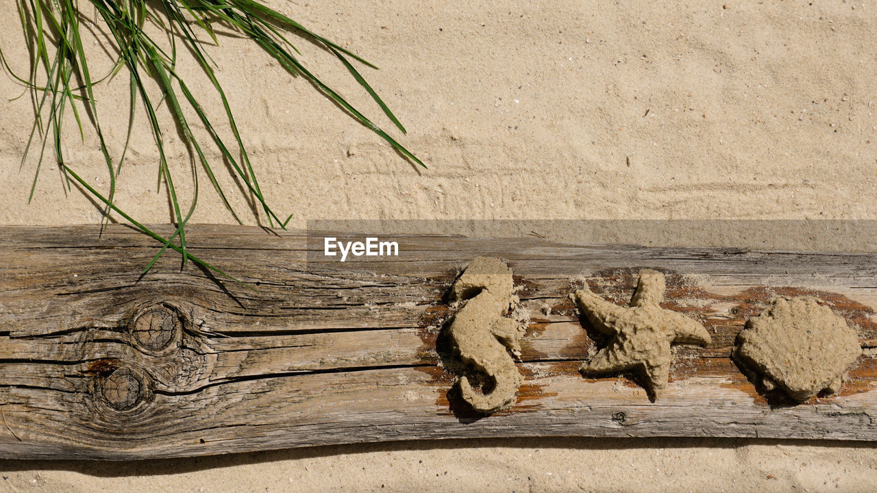 Summer leasure with sand and dune grass