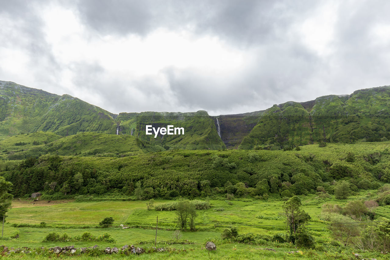 IDYLLIC SHOT OF GREEN LANDSCAPE AGAINST SKY