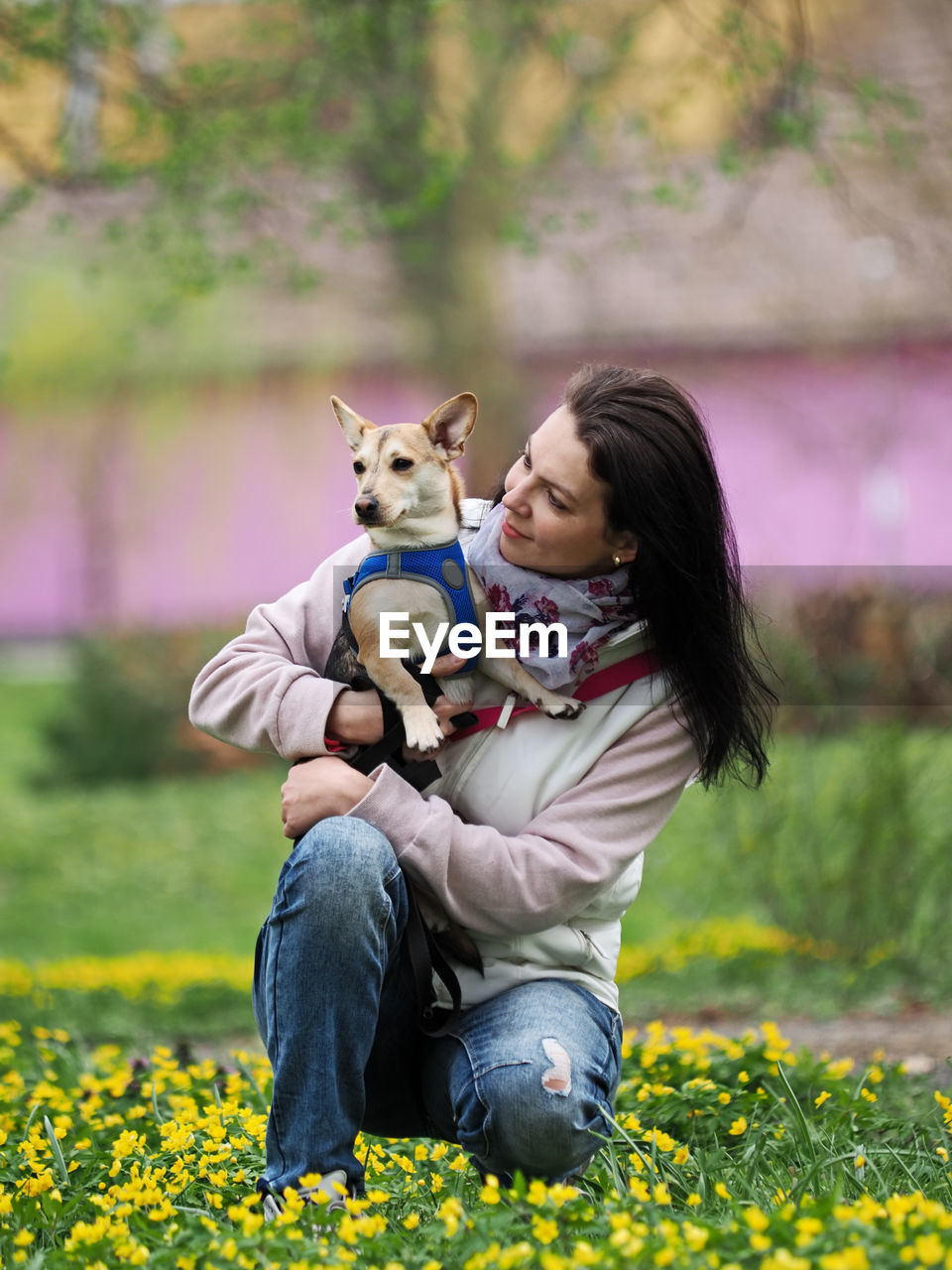 Adult nice woman walks the small dog in springtime