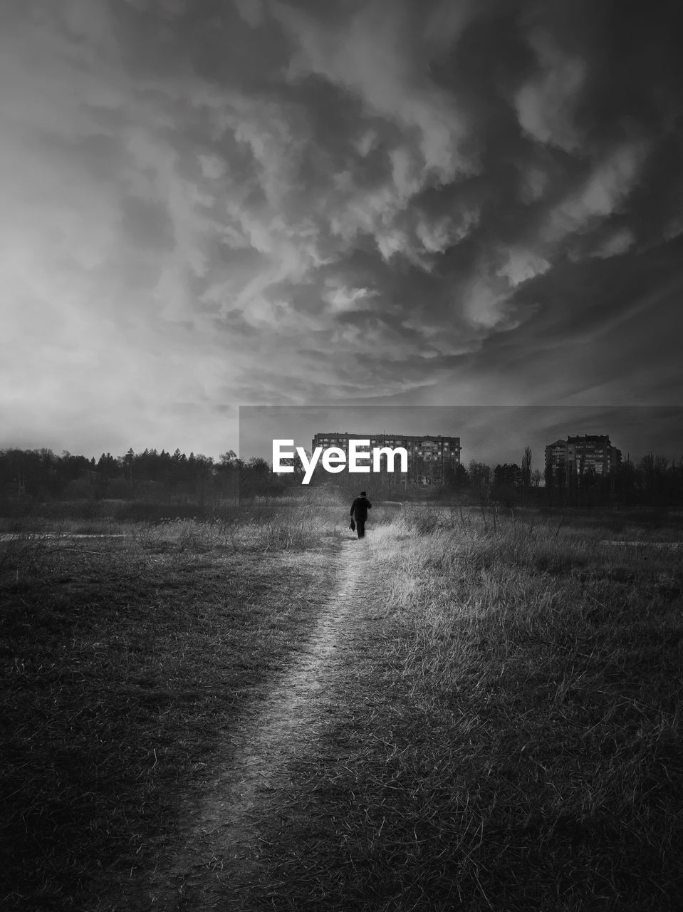 Black and white scene, vertical shot of a wanderer silhouette walking a path throw the wilderness