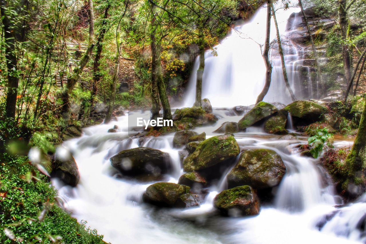 STREAM FLOWING THROUGH ROCKS IN FOREST