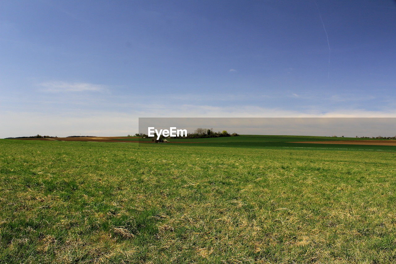 horizon, landscape, environment, sky, field, plant, land, grassland, grass, plain, nature, rural scene, scenics - nature, agriculture, beauty in nature, prairie, green, tranquility, natural environment, no people, growth, tranquil scene, pasture, cloud, meadow, crop, steppe, blue, hill, rural area, outdoors, day, horizon over land, cereal plant, sunlight, farm, non-urban scene, morning, food, idyllic, tree, food and drink, flower, rapeseed, barley