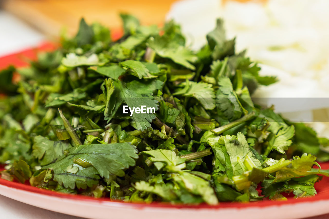 food, food and drink, healthy eating, vegetable, wellbeing, dish, salad, freshness, green, produce, plate, leaf vegetable, no people, meal, indoors, close-up, spinach, lettuce, fruit, vegetarian food, cuisine, herb, coriander, selective focus, leaf, arugula, organic