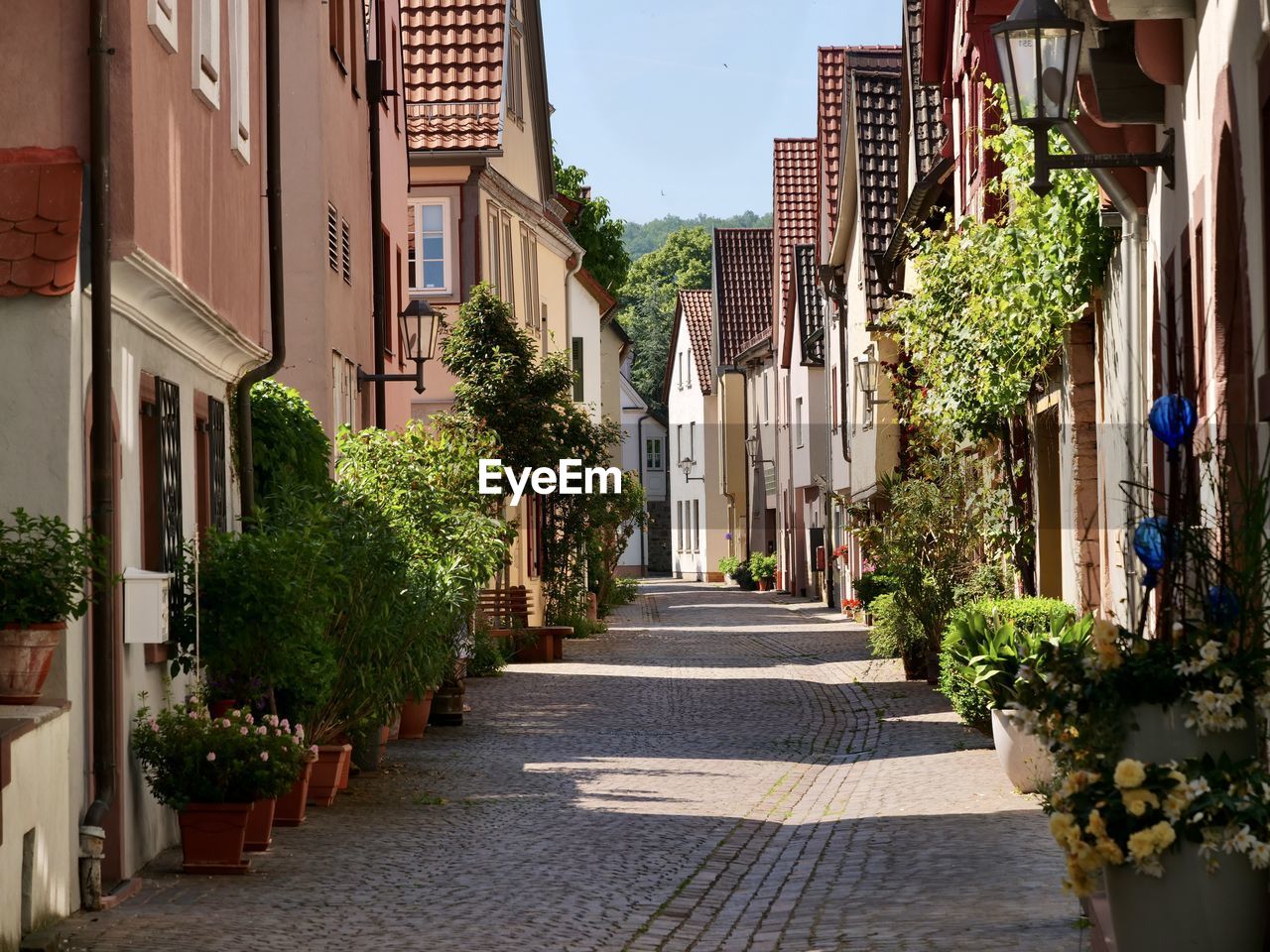 Street amidst buildings in town