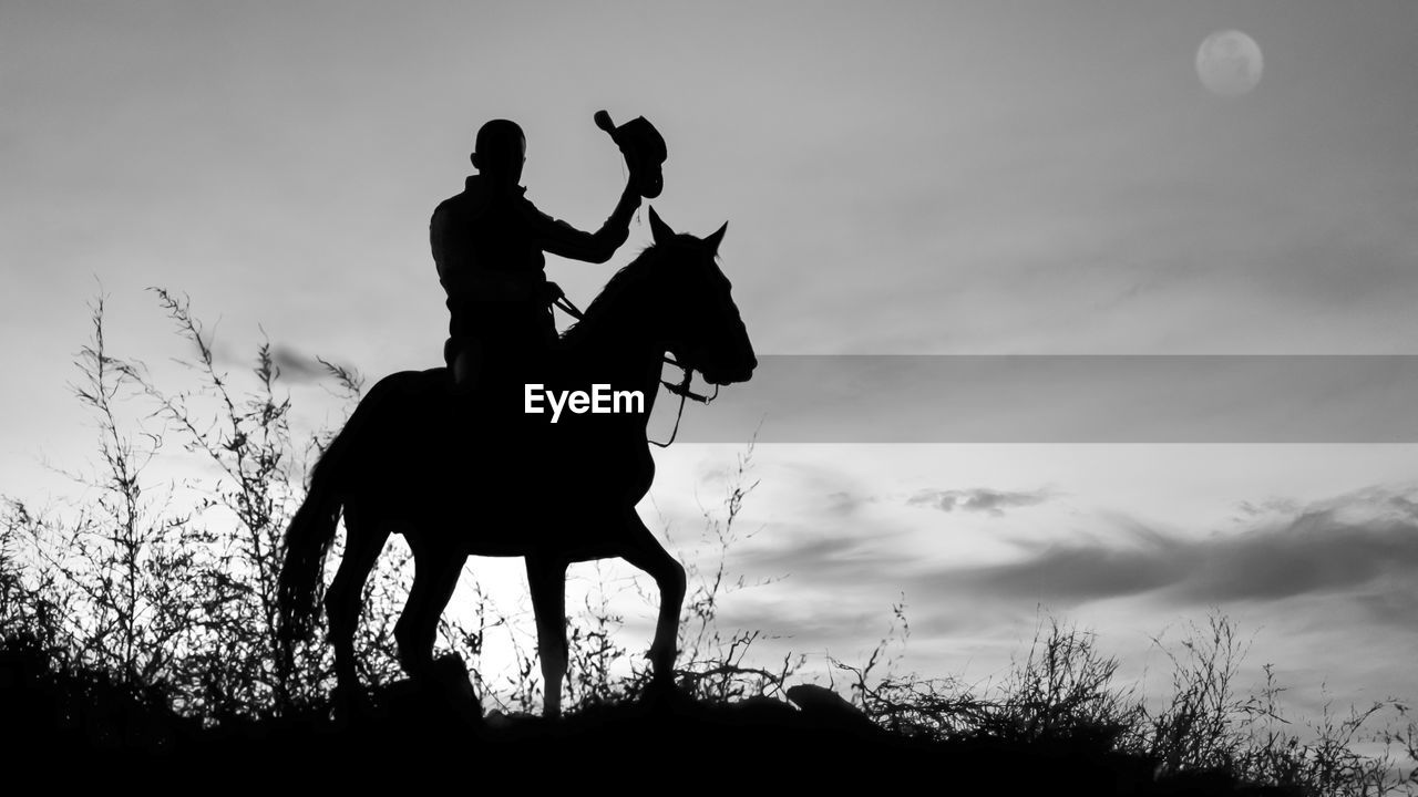 Silhouette man riding horse on field against sky