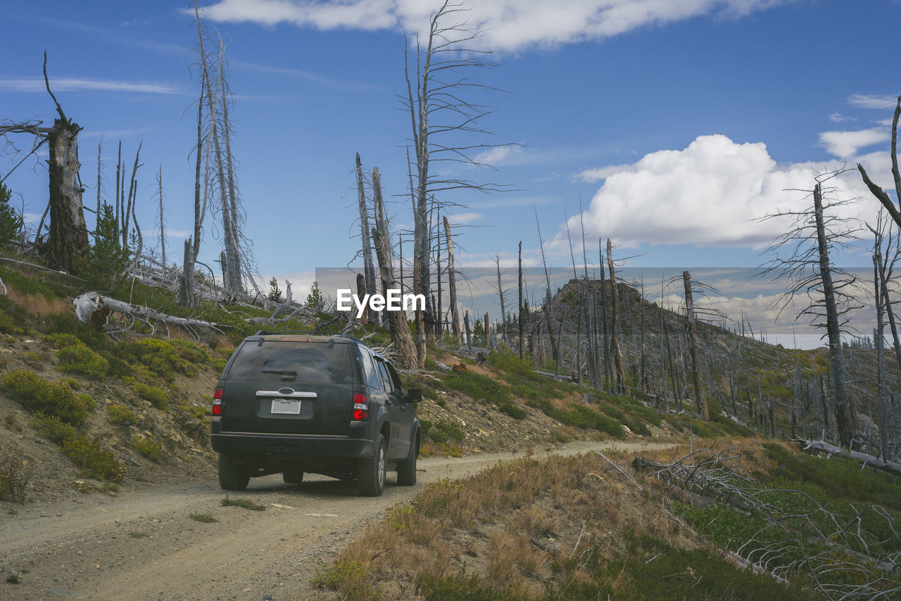 Suv on gravel road in the mountains surrounded by dead burned trees