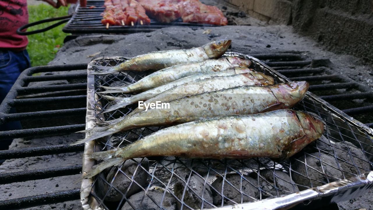 CLOSE-UP OF FISH FOR SALE