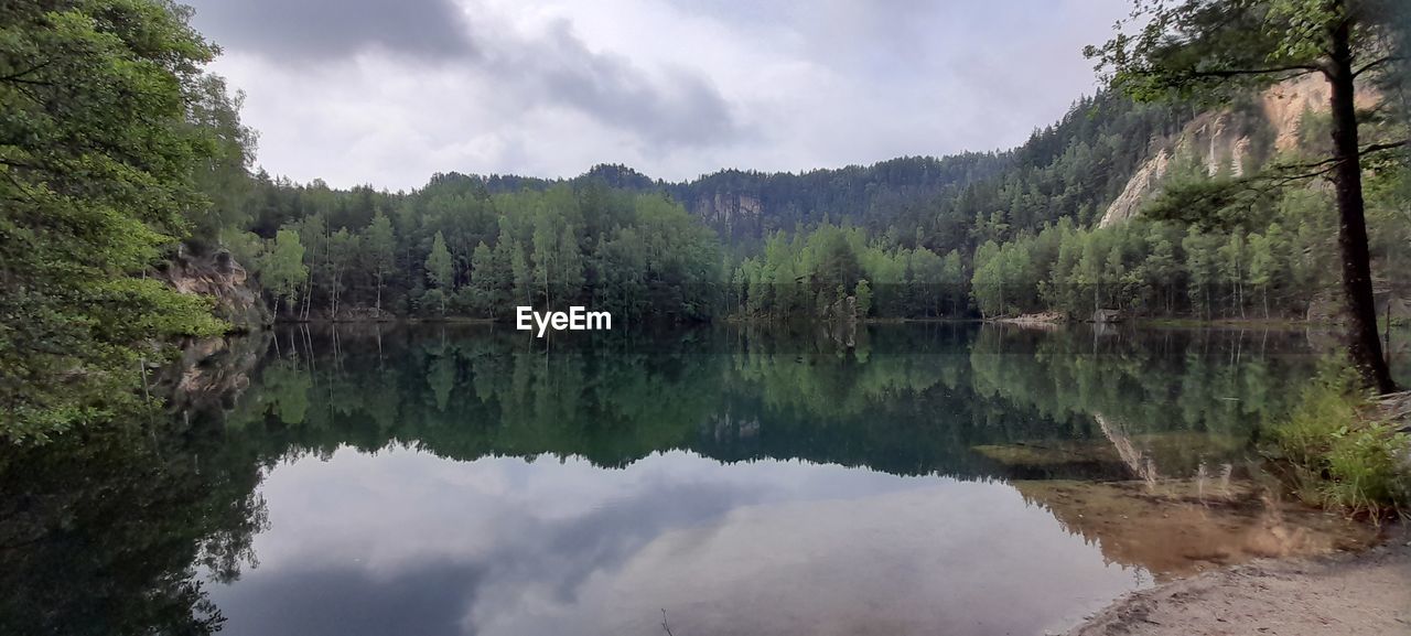 water, reflection, tree, lake, plant, beauty in nature, scenics - nature, body of water, wilderness, sky, cloud, nature, tranquility, forest, environment, tranquil scene, landscape, land, reservoir, no people, non-urban scene, mountain, travel destinations, outdoors, tourism, pine woodland, travel, day, pine tree, reflection lake, panoramic, pinaceae, coniferous tree, idyllic