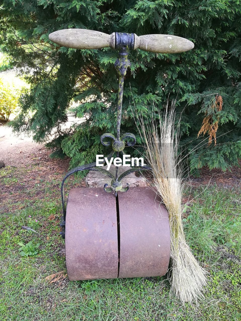 CLOSE-UP VIEW OF PLANTS