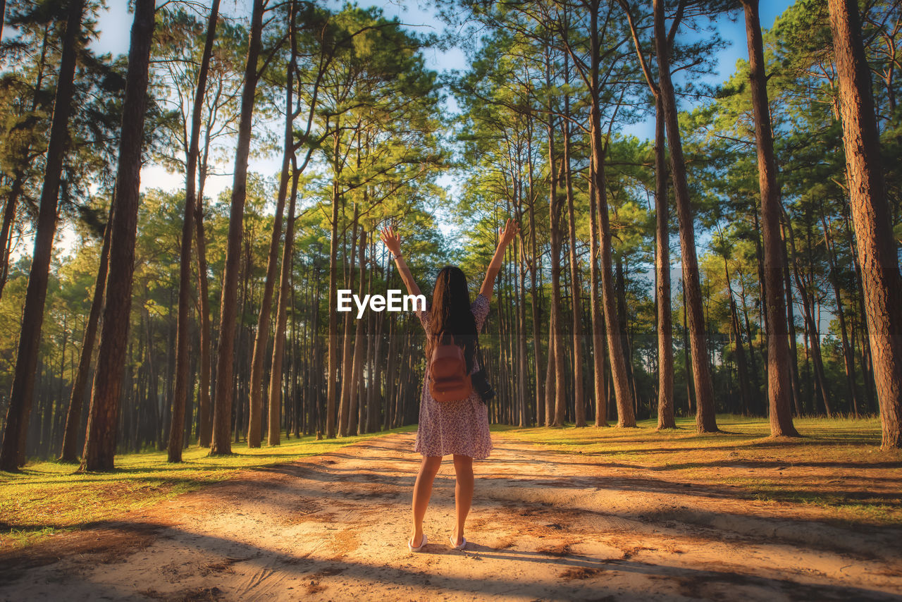 FULL LENGTH REAR VIEW OF WOMAN STANDING IN FOREST