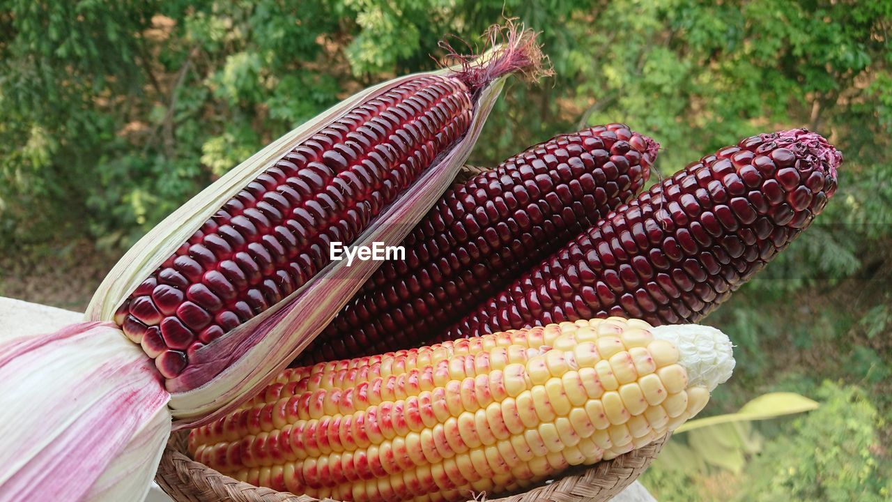 HIGH ANGLE VIEW OF FRESH VEGETABLES