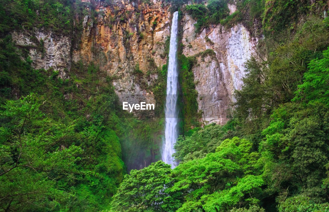 WATERFALL IN FOREST