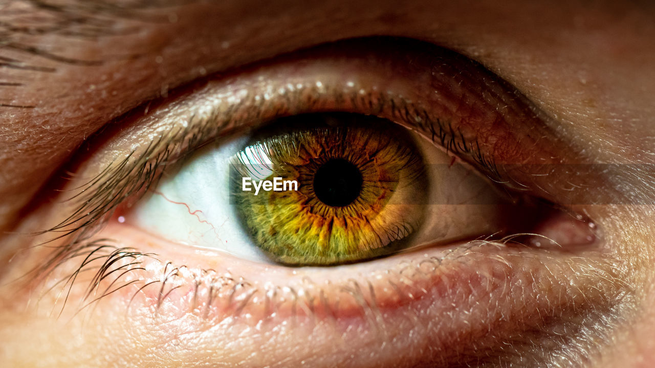 Extreme close-up of human eye