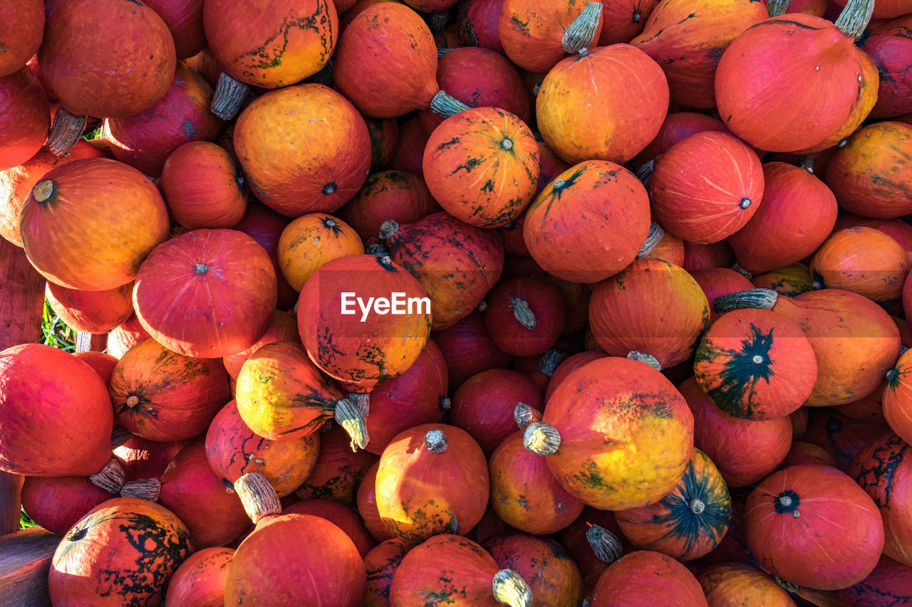 Full frame shot of pumpkins for sale at market