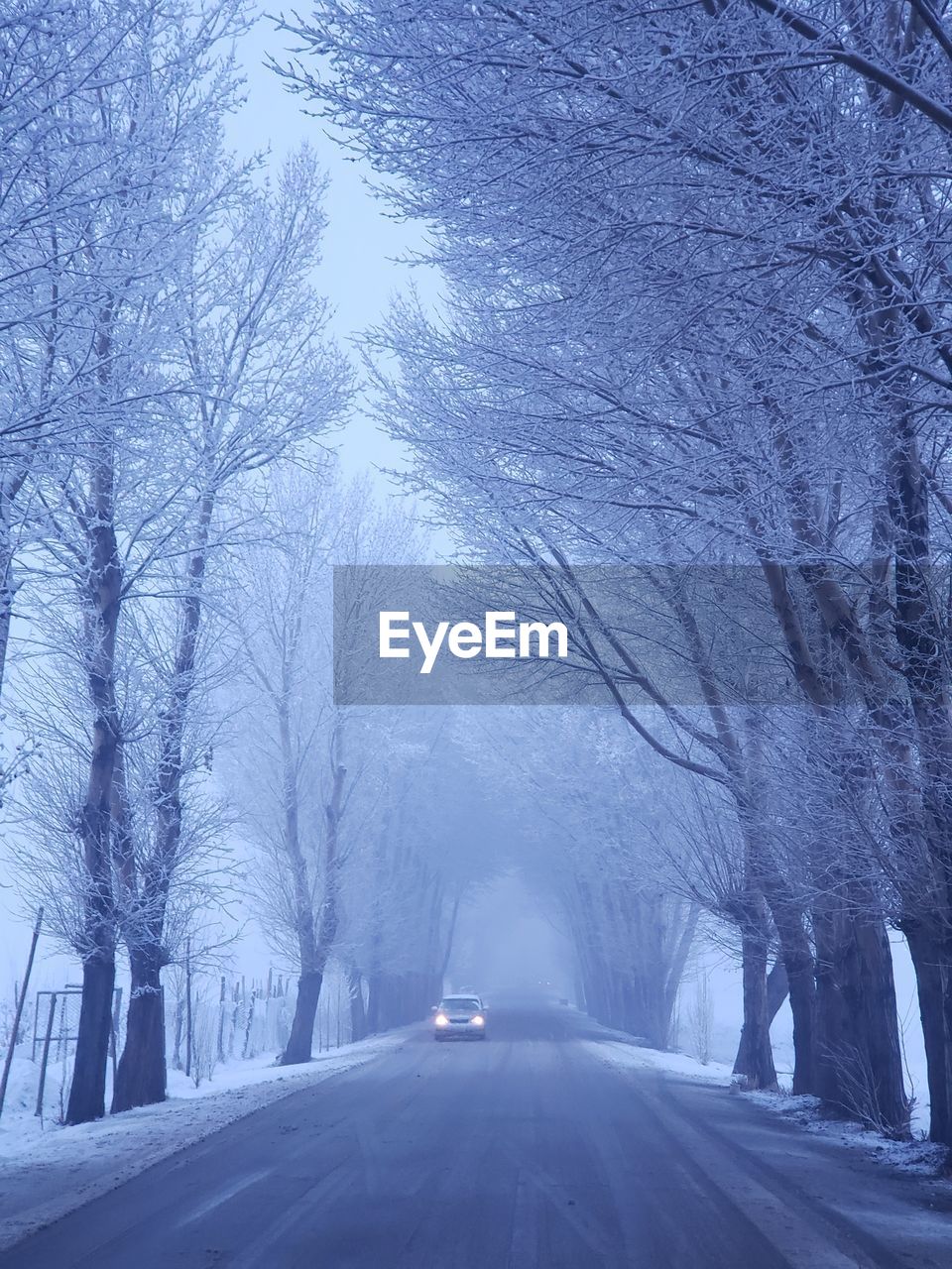 winter, cold temperature, tree, snow, blue, nature, bare tree, freezing, plant, frozen, beauty in nature, branch, scenics - nature, day, transportation, no people, ice, outdoors, environment, tranquility, non-urban scene, land, tranquil scene, landscape, fog, white, architecture, mode of transportation, frost, sky, forest