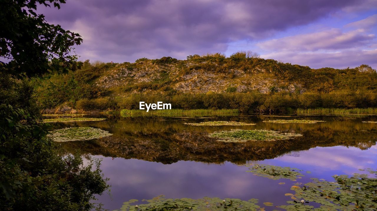 Reflection of trees in lake against sky