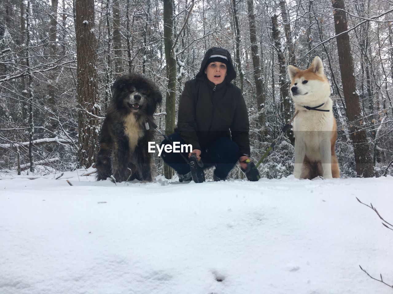 Woman with dogs on snowy field in forest