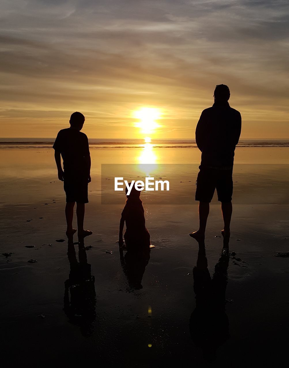 Silhouette people on beach against sky during sunset