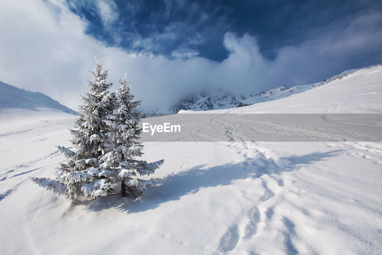 SCENIC VIEW OF SNOWCAPPED LANDSCAPE AGAINST SKY