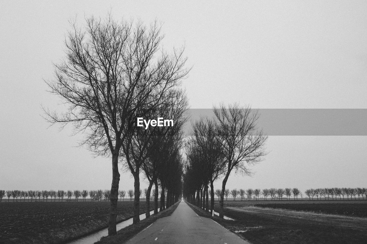 Road amidst bare trees against clear sky