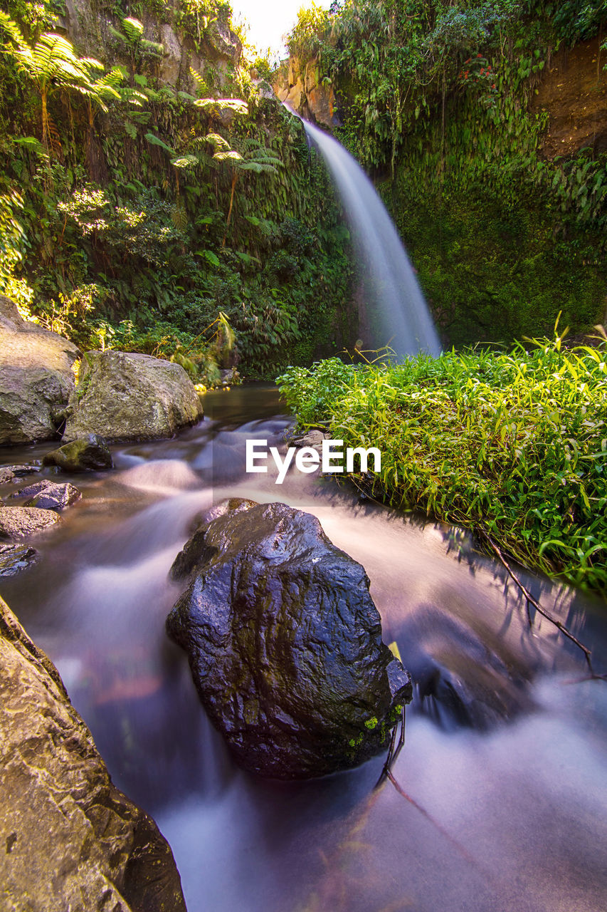 Scenic view of waterfall in forest