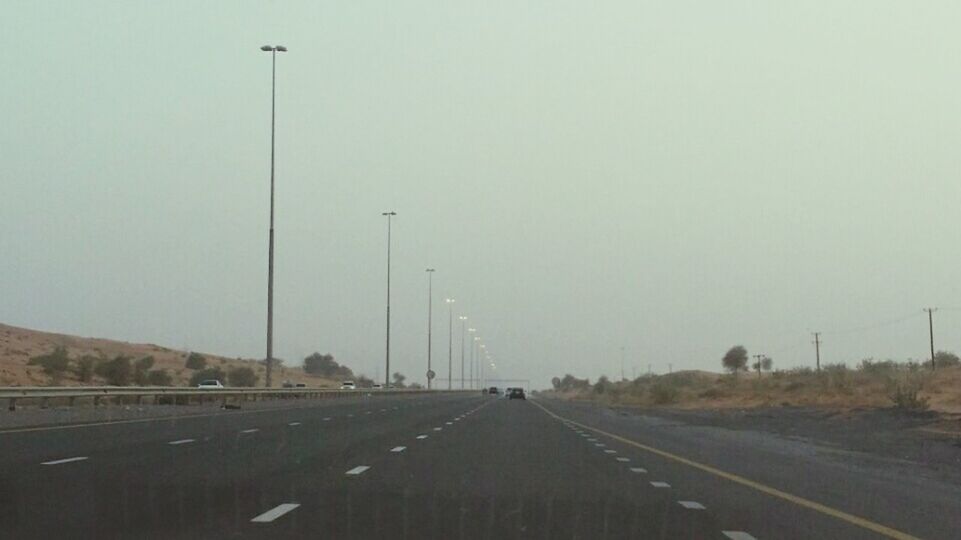 VIEW OF ROAD ALONG TREES