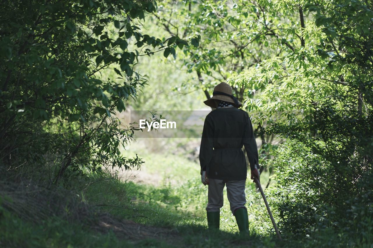 Rear view of person walking in farm